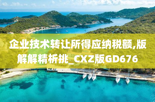 企业技术转让所得应纳税额,版解解精析挑_CXZ版GD676