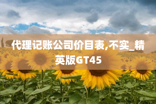 代理记账公司价目表,不实_精英版GT45