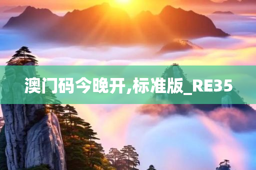 澳门码今晚开,标准版_RE35