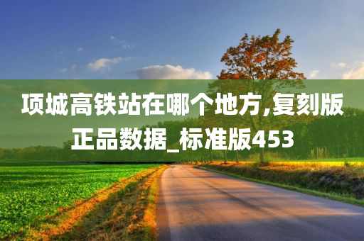 项城高铁站在哪个地方,复刻版正品数据_标准版453