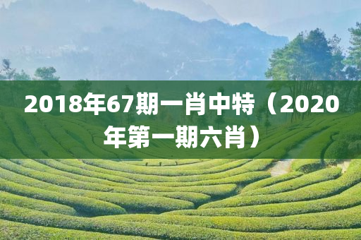 2018年67期一肖中特（2020年第一期六肖）