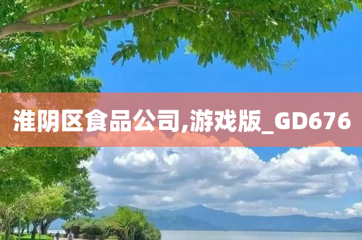 淮阴区食品公司,游戏版_GD676