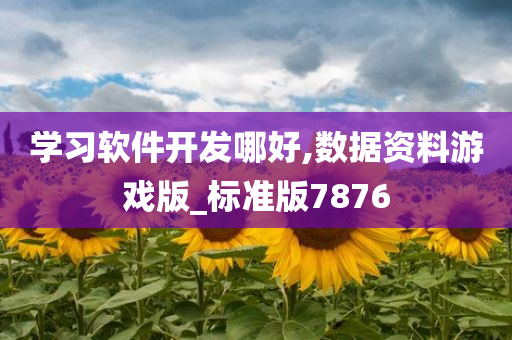 学习软件开发哪好,数据资料游戏版_标准版7876