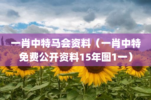 一肖中特马会资料（一肖中特免费公开资料15年图1一）