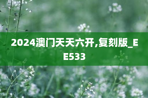 2024澳门天天六开,复刻版_EE533