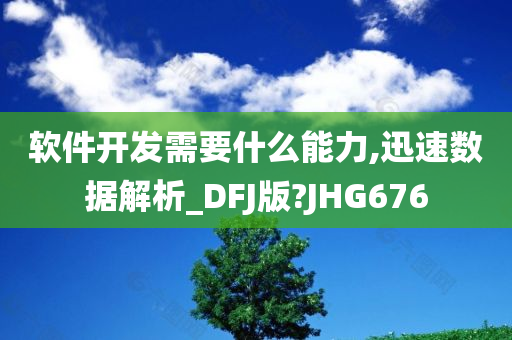 软件开发需要什么能力,迅速数据解析_DFJ版?JHG676