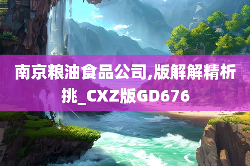 南京粮油食品公司,版解解精析挑_CXZ版GD676