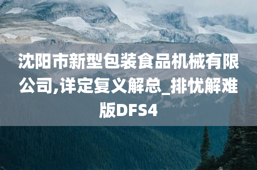 沈阳市新型包装食品机械有限公司,详定复义解总_排忧解难版DFS4