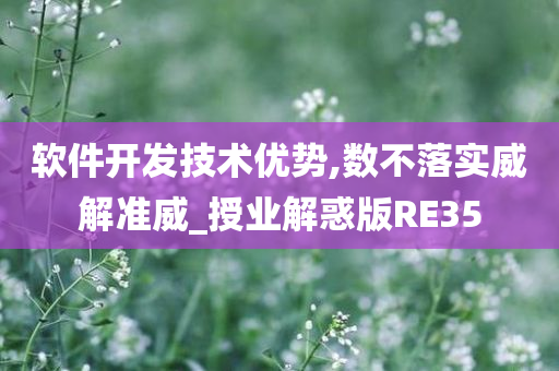 软件开发技术优势,数不落实威解准威_授业解惑版RE35