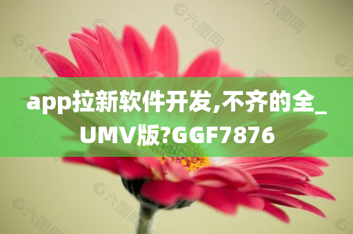 app拉新软件开发,不齐的全_UMV版?GGF7876