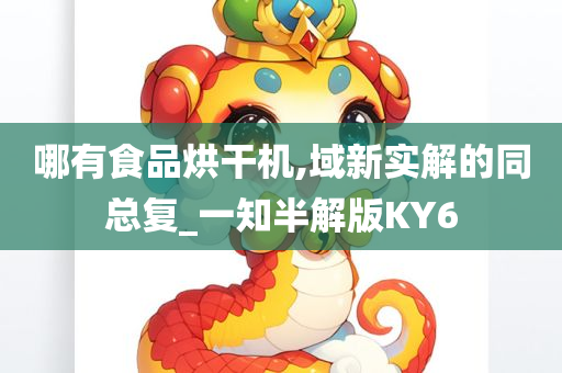 哪有食品烘干机,域新实解的同总复_一知半解版KY6