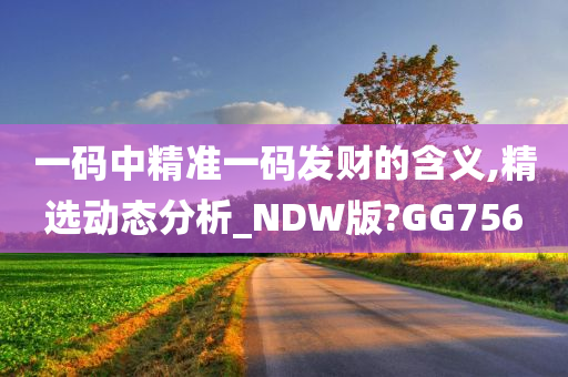 一码中精准一码发财的含义,精选动态分析_NDW版?GG756