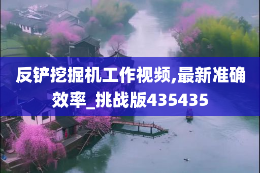 反铲挖掘机工作视频,最新准确效率_挑战版435435