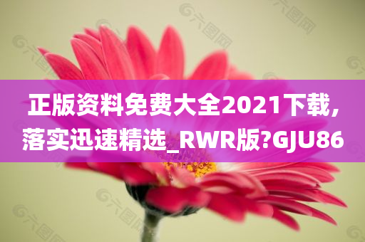 正版资料免费大全2021下载,落实迅速精选_RWR版?GJU86