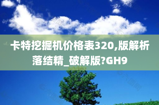 卡特挖掘机价格表320,版解析落结精_破解版?GH9