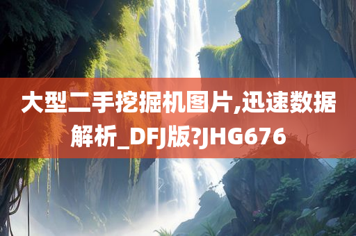 大型二手挖掘机图片,迅速数据解析_DFJ版?JHG676