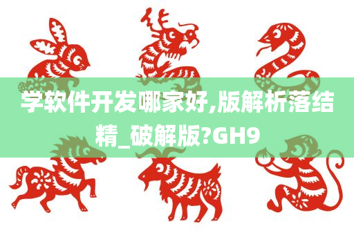 学软件开发哪家好,版解析落结精_破解版?GH9