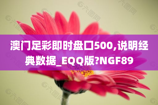 澳门足彩即时盘囗500,说明经典数据_EQQ版?NGF89