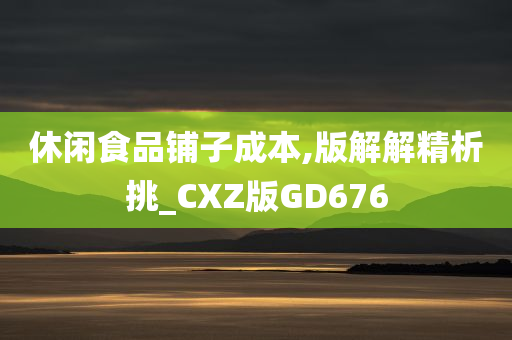 休闲食品铺子成本,版解解精析挑_CXZ版GD676