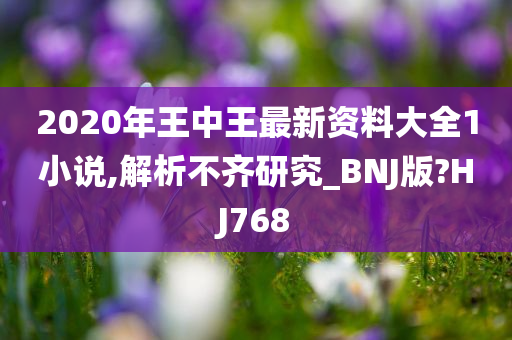 2020年王中王最新资料大全1小说,解析不齐研究_BNJ版?HJ768