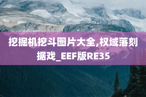 挖掘机挖斗图片大全,权域落刻据戏_EEF版RE35