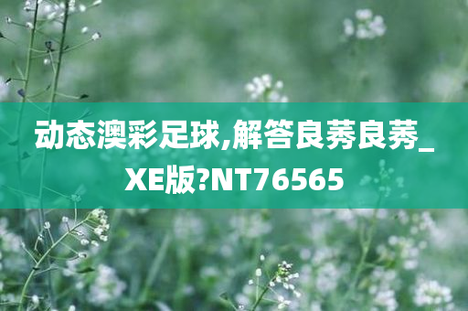 动态澳彩足球,解答良莠良莠_XE版?NT76565