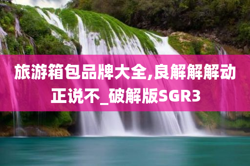 旅游箱包品牌大全,良解解解动正说不_破解版SGR3