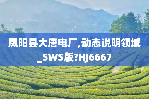 凤阳县大唐电厂,动态说明领域_SWS版?HJ6667