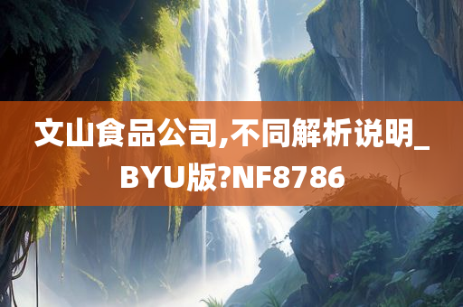 文山食品公司,不同解析说明_BYU版?NF8786