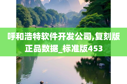 呼和浩特软件开发公司,复刻版正品数据_标准版453