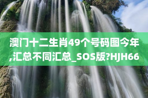 澳门十二生肖49个号码图今年,汇总不同汇总_SOS版?HJH66