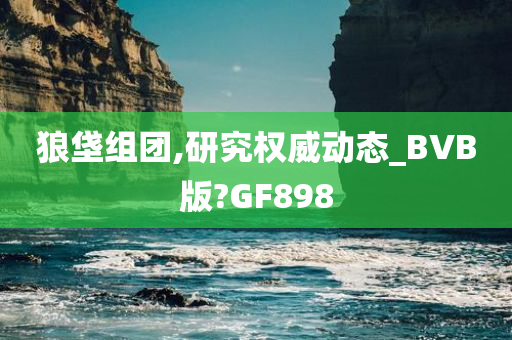 狼垡组团,研究权威动态_BVB版?GF898