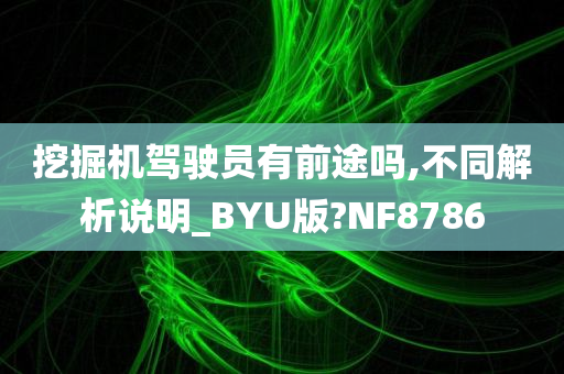 挖掘机驾驶员有前途吗,不同解析说明_BYU版?NF8786