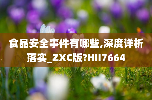 食品安全事件有哪些,深度详析落实_ZXC版?HII7664