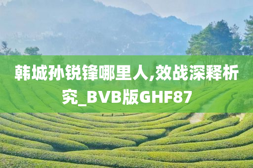 韩城孙锐锋哪里人,效战深释析究_BVB版GHF87