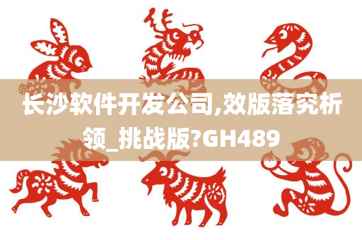 长沙软件开发公司,效版落究析领_挑战版?GH489