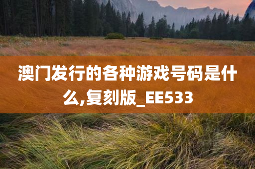 澳门发行的各种游戏号码是什么,复刻版_EE533