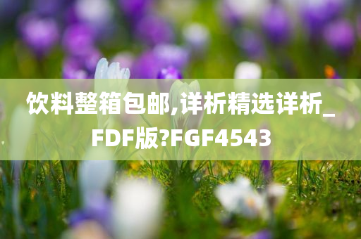 饮料整箱包邮,详析精选详析_FDF版?FGF4543