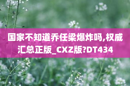 国家不知道乔任梁爆炸吗,权威汇总正版_CXZ版?DT434