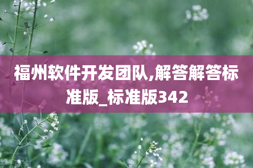 福州软件开发团队,解答解答标准版_标准版342