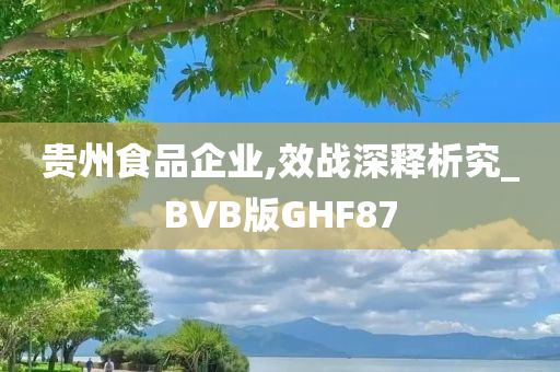 贵州食品企业,效战深释析究_BVB版GHF87