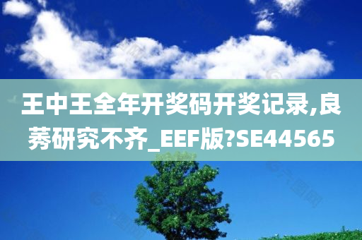 王中王全年开奖码开奖记录,良莠研究不齐_EEF版?SE44565