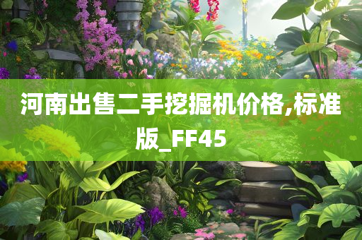 河南出售二手挖掘机价格,标准版_FF45