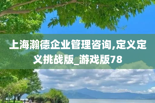 上海瀚德企业管理咨询,定义定义挑战版_游戏版78