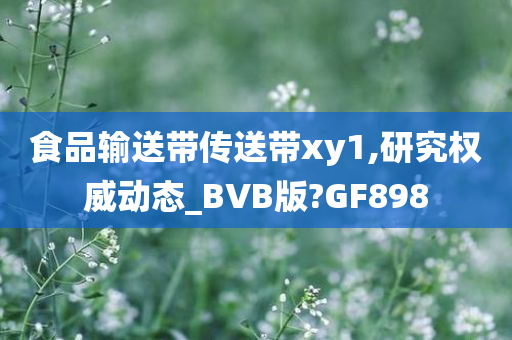 食品输送带传送带xy1,研究权威动态_BVB版?GF898