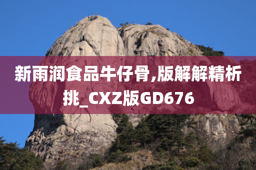 新雨润食品牛仔骨,版解解精析挑_CXZ版GD676