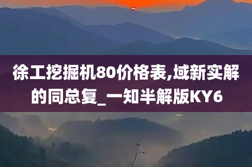 徐工挖掘机80价格表,域新实解的同总复_一知半解版KY6