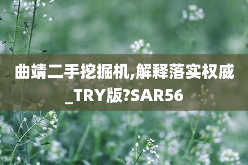 曲靖二手挖掘机,解释落实权威_TRY版?SAR56