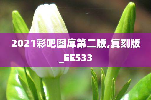 2021彩吧图库第二版,复刻版_EE533