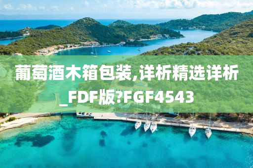 葡萄酒木箱包装,详析精选详析_FDF版?FGF4543